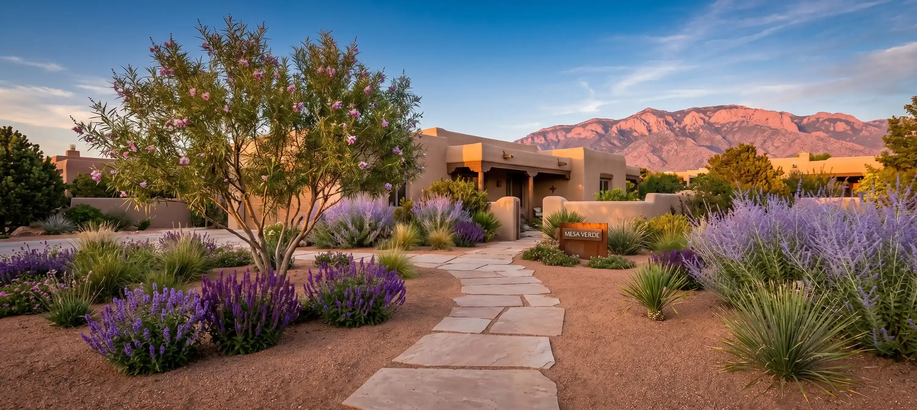 Professionally landscaped yard in Albuquerque, New Mexico